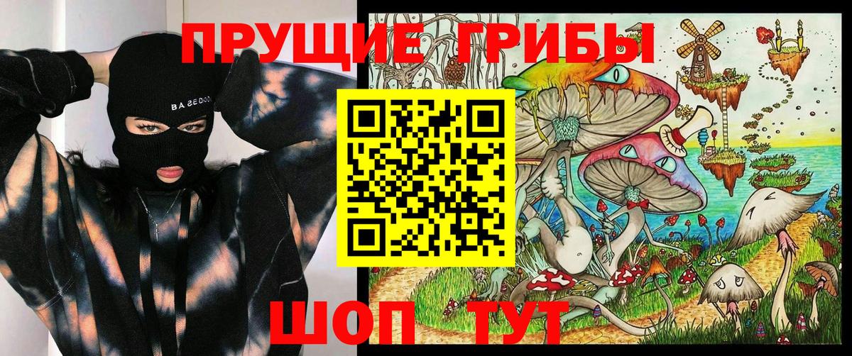 Галлюциногенные грибы Psilocybine cubensis Артём