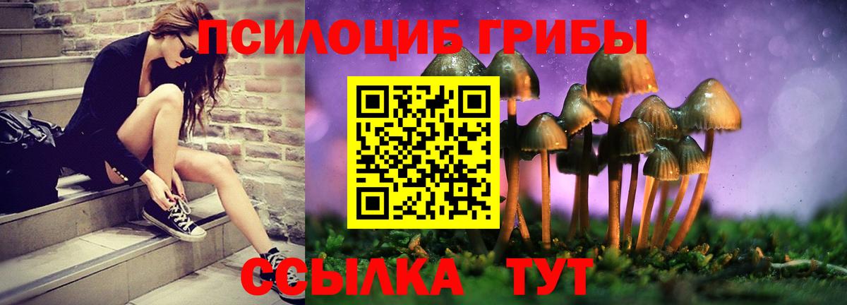 Галлюциногенные грибы GOLDEN TEACHER  Вход с VPN  Артём  Галлюциногенные грибы GOLDEN TEACHER 